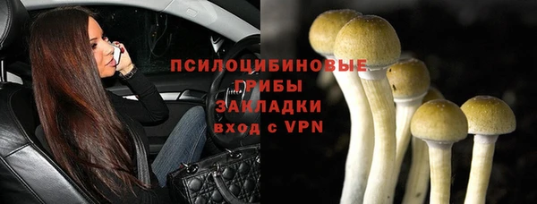 сатива Балабаново
