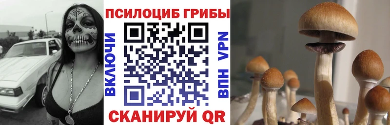Галлюциногенные грибы прущие грибы  Лермонтов 